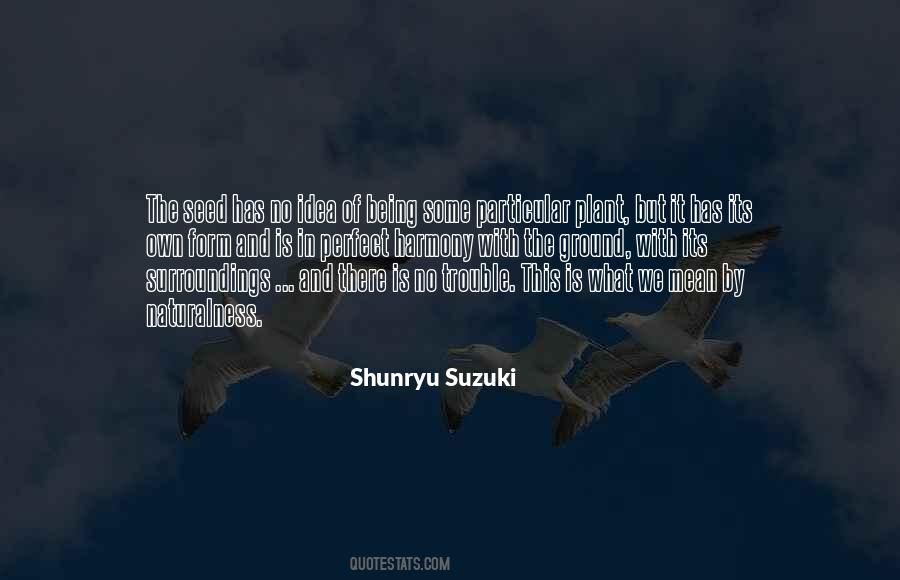 Shunryu Suzuki Sayings #242759