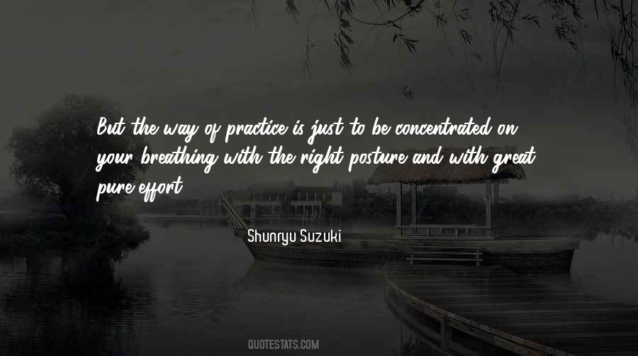 Shunryu Suzuki Sayings #564791