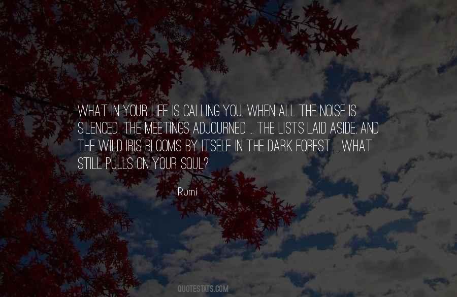 Quotes About The Dark #1811099