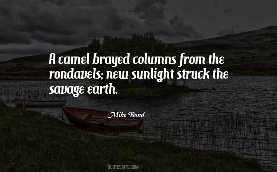 Quotes About Columns #1251617