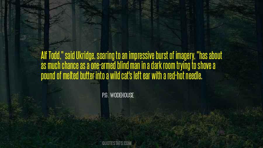 Wild Cat Sayings #1128473