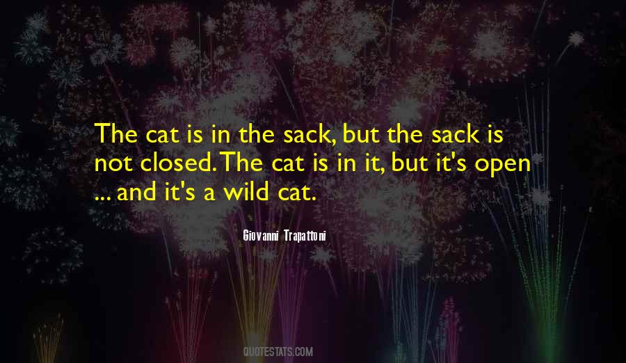 Wild Cat Sayings #1268997