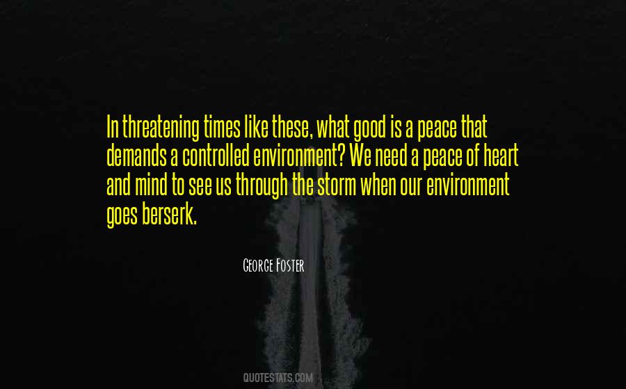 Quotes About Through The Storm #1146763