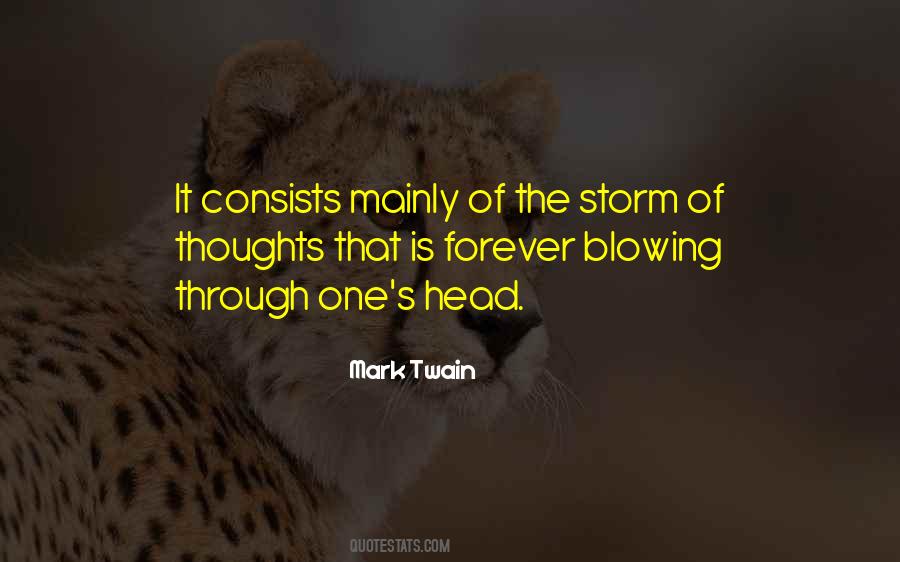 Quotes About Through The Storm #1279691