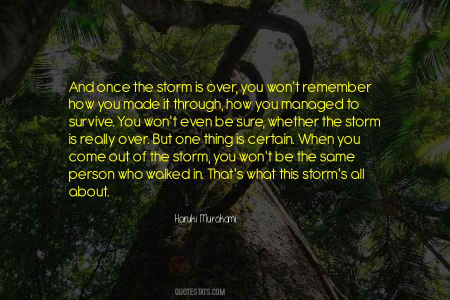 Quotes About Through The Storm #1416871