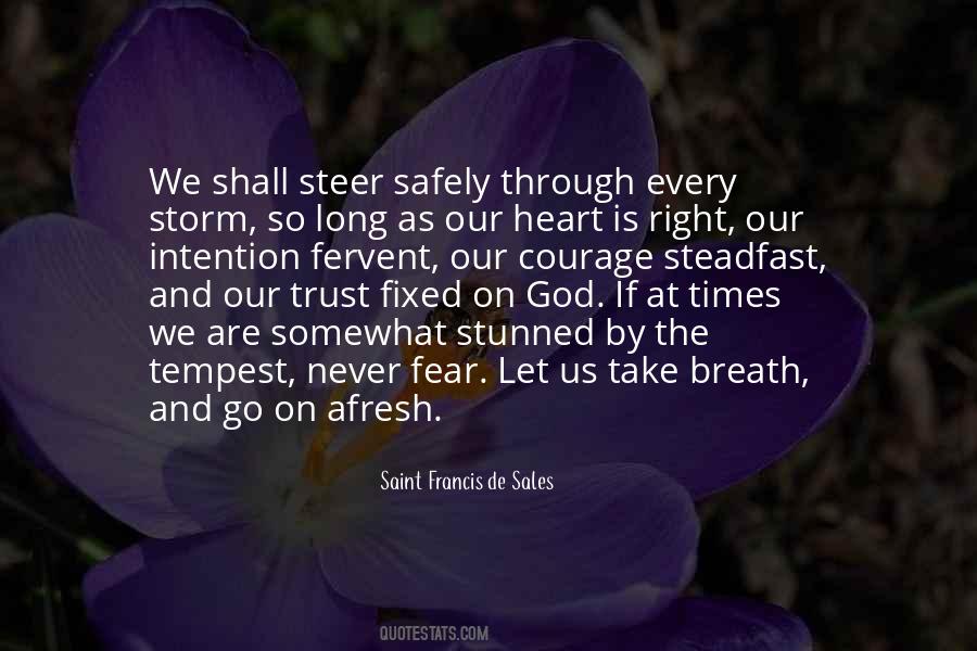 Quotes About Through The Storm #1687024