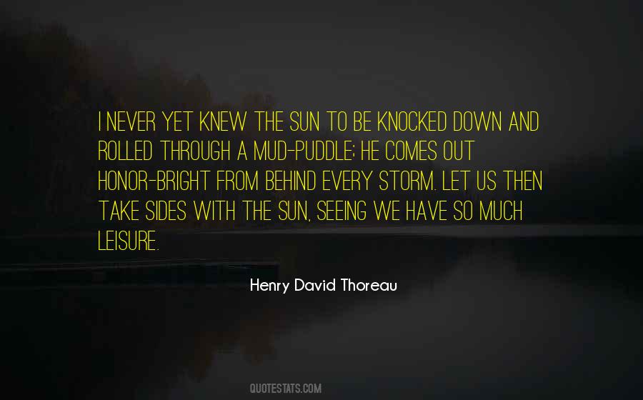 Quotes About Through The Storm #184167