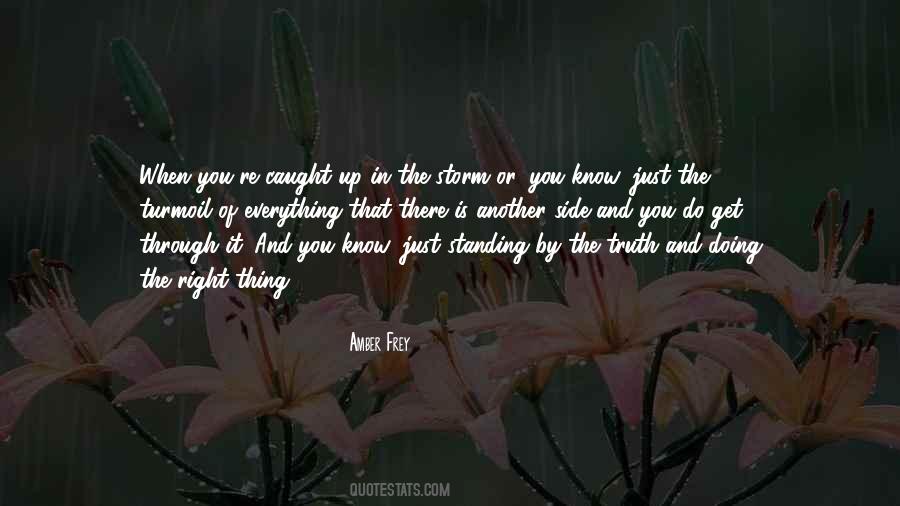 Quotes About Through The Storm #202572