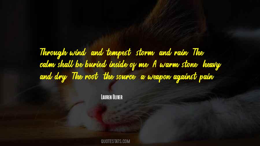 Quotes About Through The Storm #613287