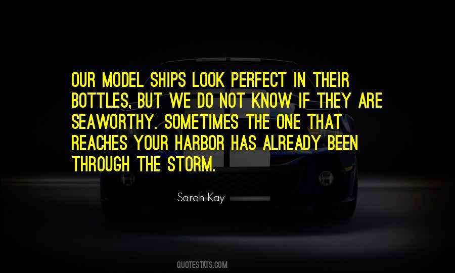 Quotes About Through The Storm #961431