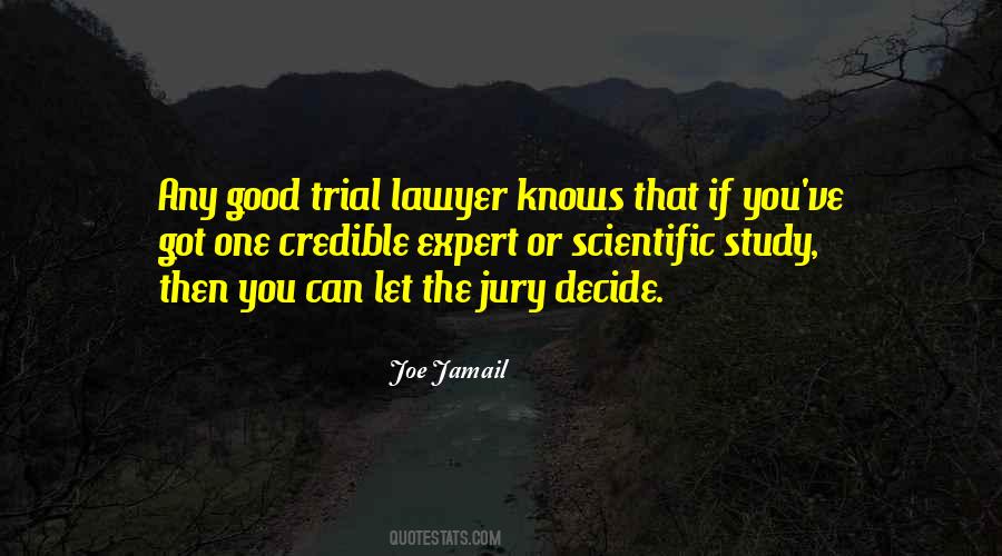 Trial Lawyer Sayings #240224