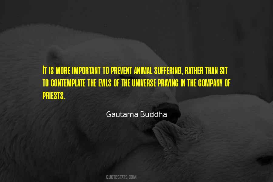 Quotes About Suffering Buddha #188721