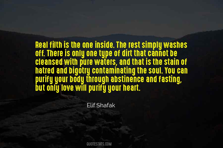 Quotes About Hatred In Your Heart #79958