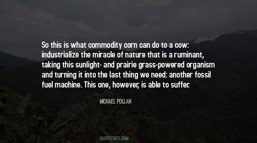 Quotes About Food As Fuel #1142045