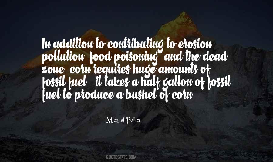 Quotes About Food As Fuel #140915