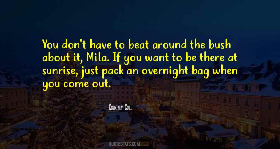 Beat Around The Bush Sayings #1508839