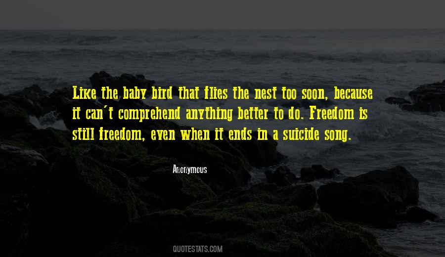 Bird Nest Sayings #1065768