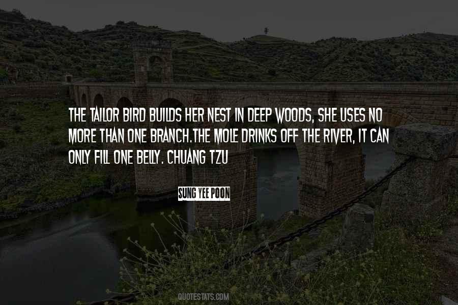 Bird Nest Sayings #1145595