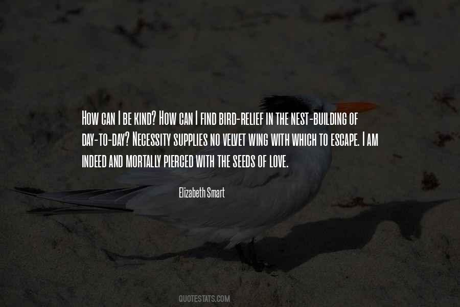Bird Nest Sayings #1235615