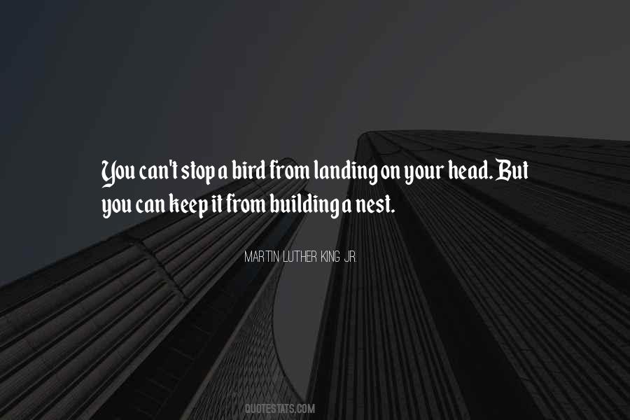 Bird Nest Sayings #1623293