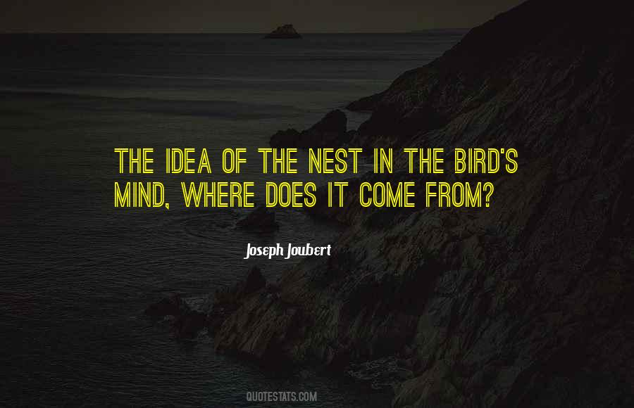 Bird Nest Sayings #641764