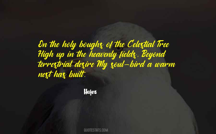 Bird Nest Sayings #737686