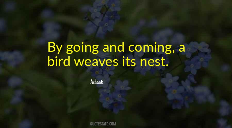Bird Nest Sayings #763686