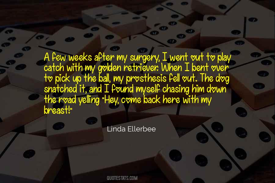 Quotes About Chasing After Things #431620