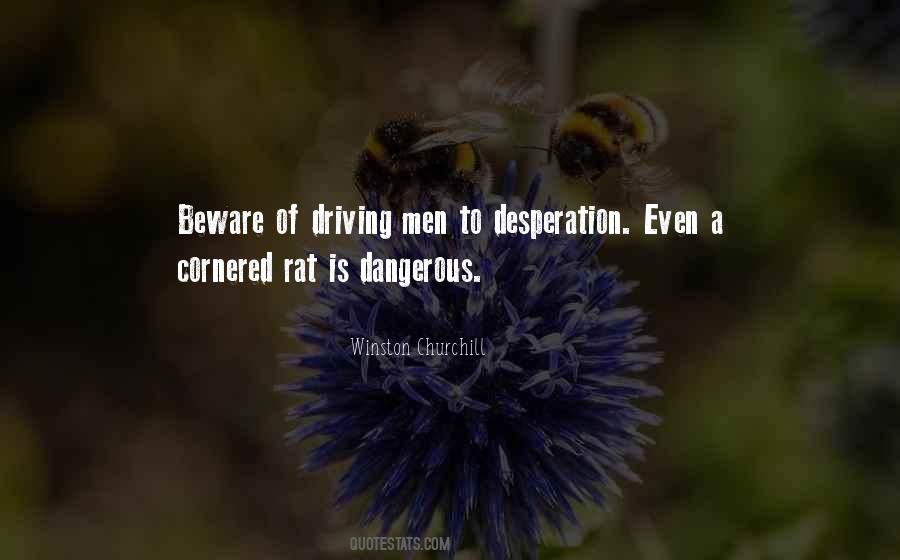 Cornered Rat Sayings #437076