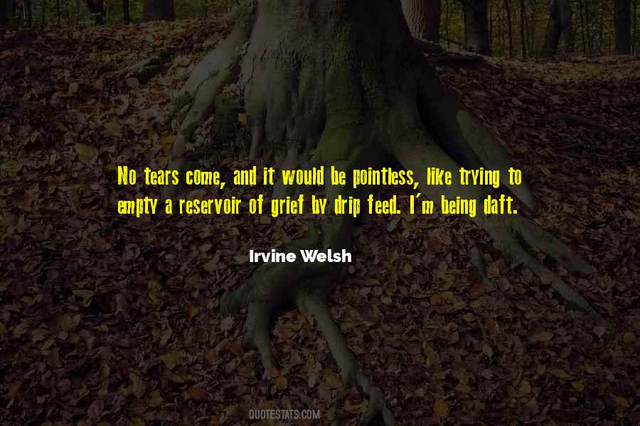 Daft Welsh Sayings #1825994