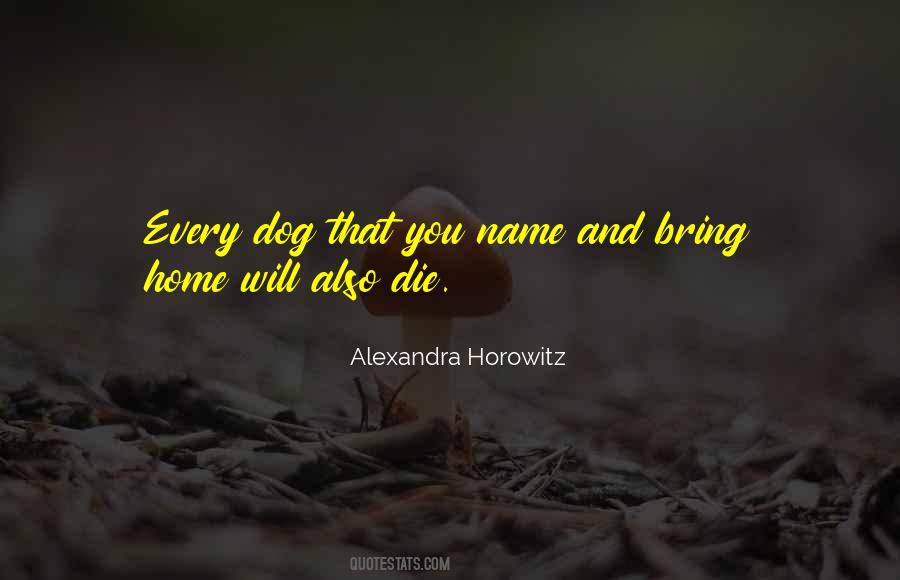 Dog Die Sayings #650755