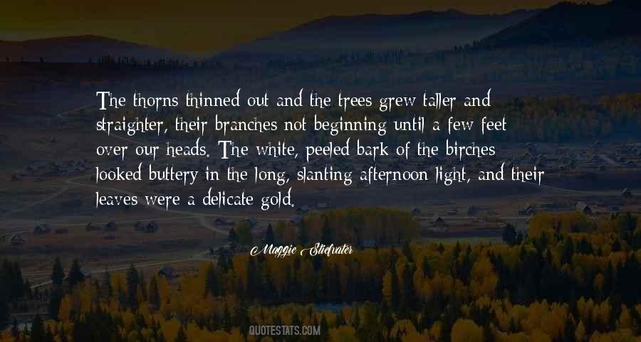 Gold And White Sayings #1337303