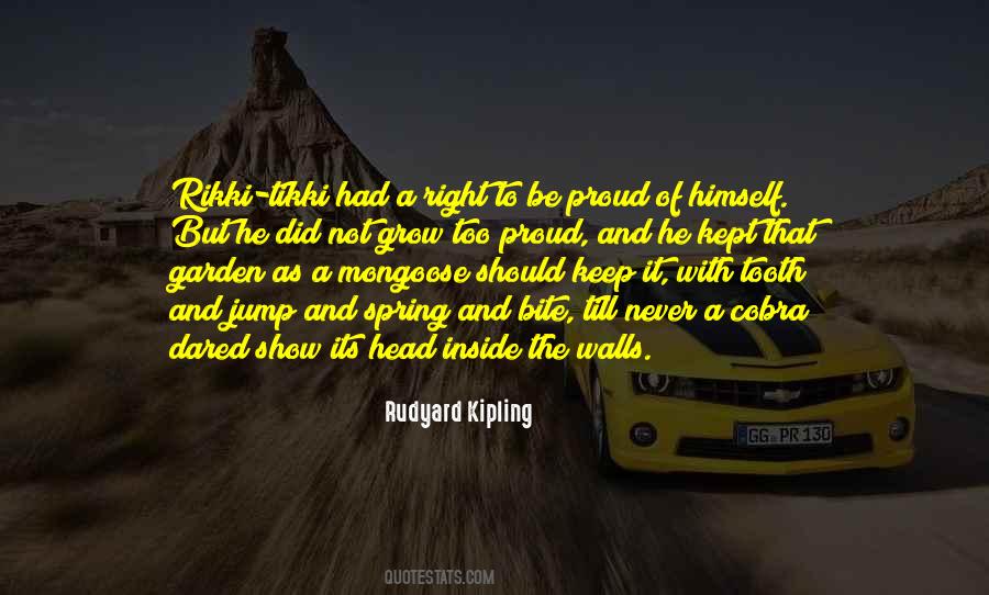 Its Spring Sayings #365761