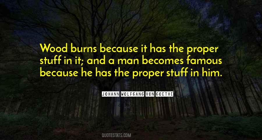 Johann Von Goethe Sayings #57937