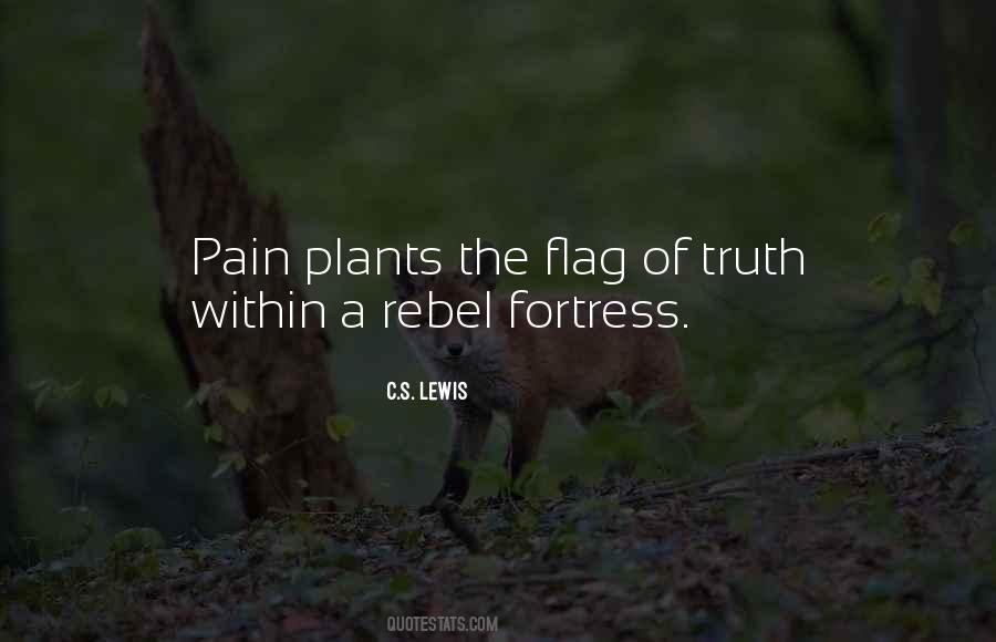 Quotes About Rebel Flag #1234905