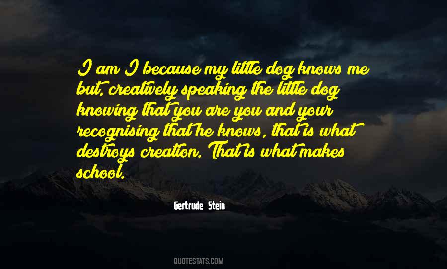 Quotes About My Little Dog #1345917