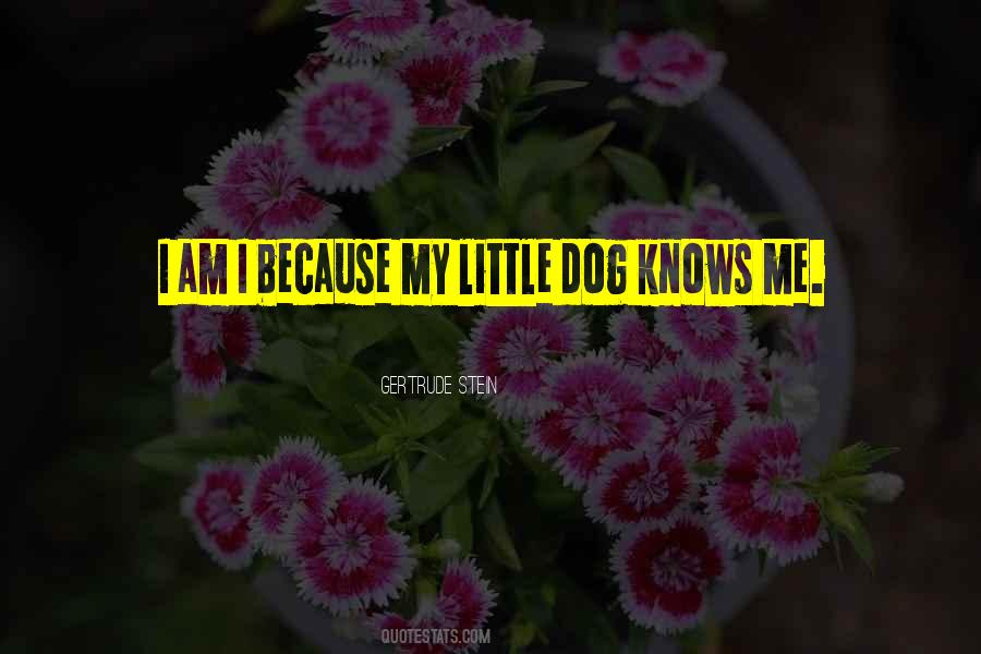 Quotes About My Little Dog #1361005