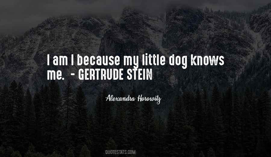 Quotes About My Little Dog #137526