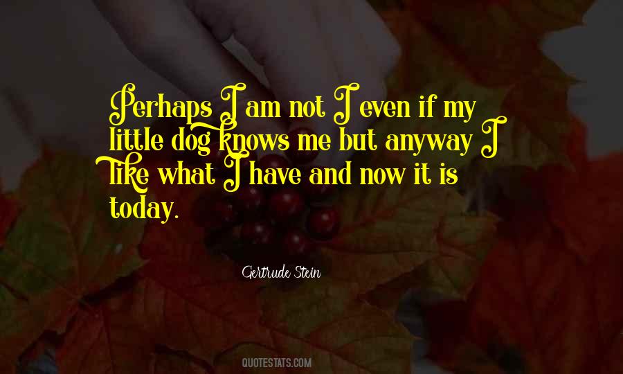 Quotes About My Little Dog #1507897