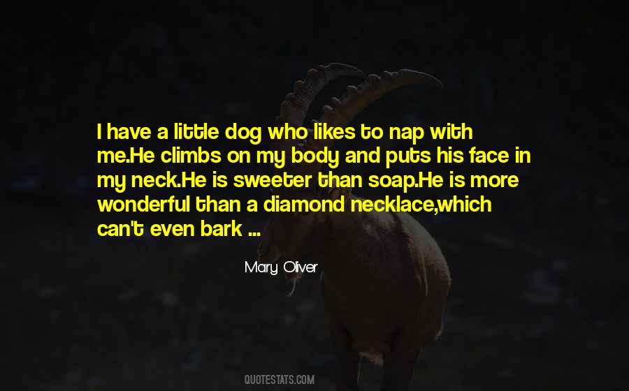 Quotes About My Little Dog #1748763