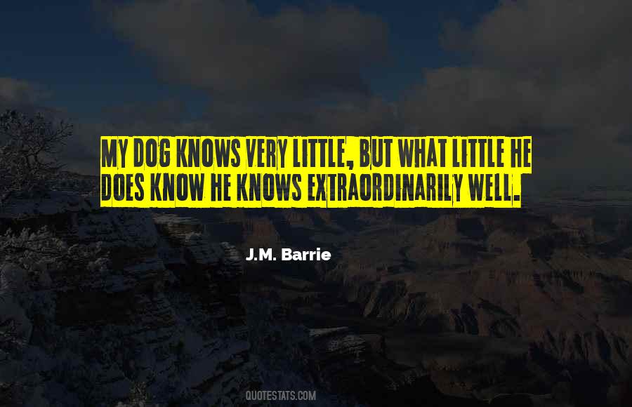 Quotes About My Little Dog #1866385
