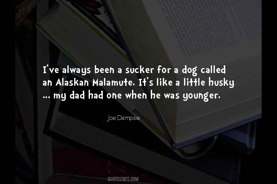 Quotes About My Little Dog #592854