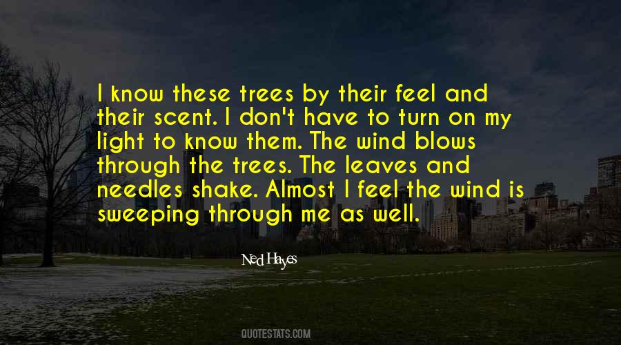 Quotes About Trees Without Leaves #204122