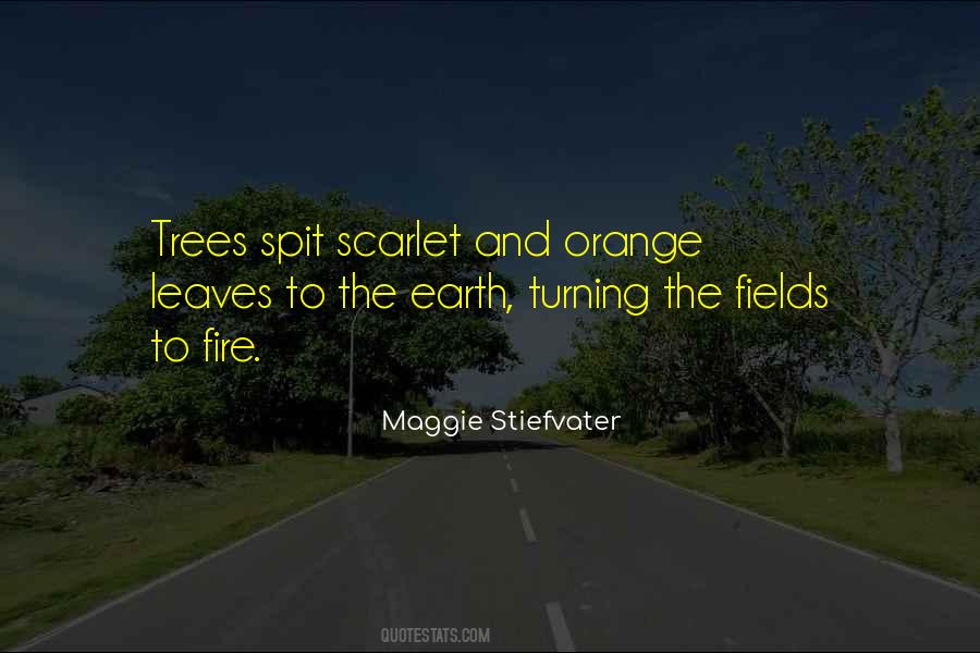 Quotes About Trees Without Leaves #292108