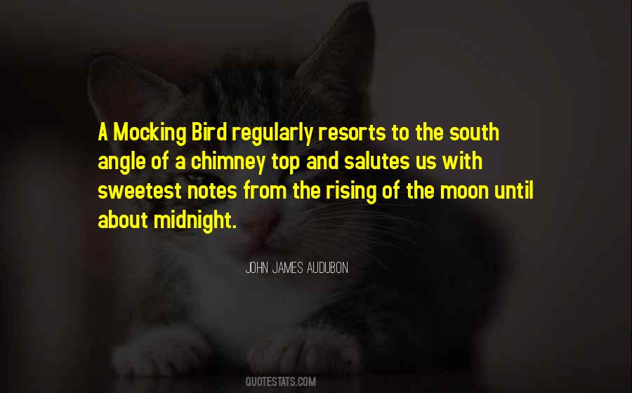 Mocking Bird Sayings #922064