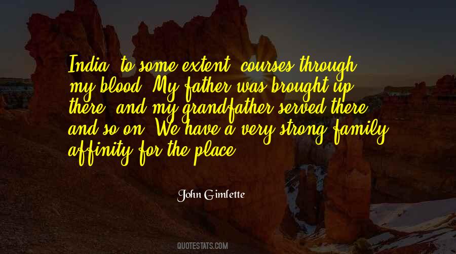 Quotes About Your Blood Family #374968
