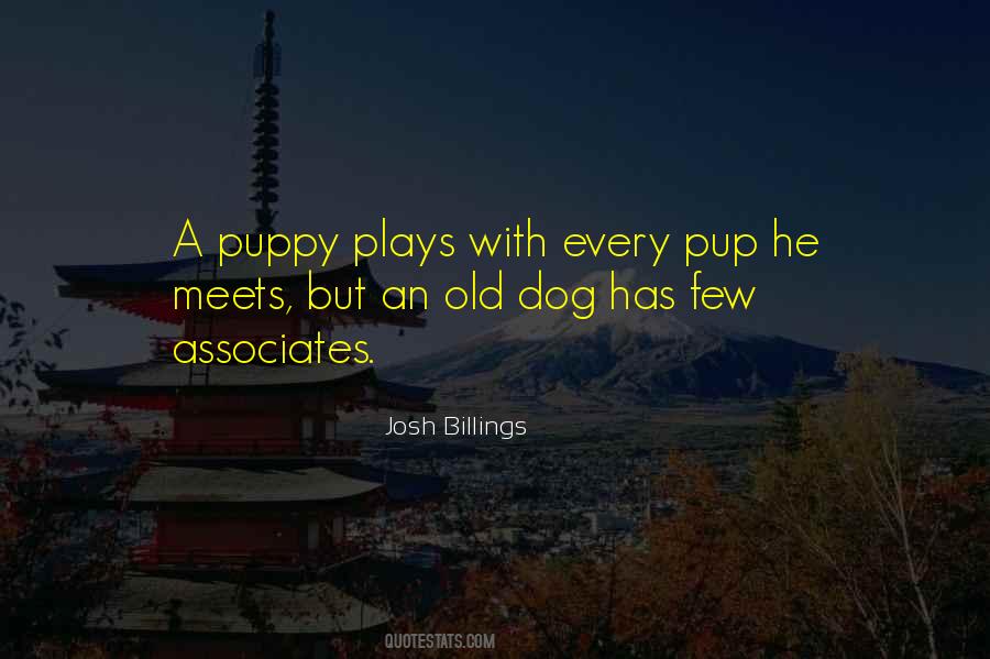 Puppy Dog Sayings #1541462