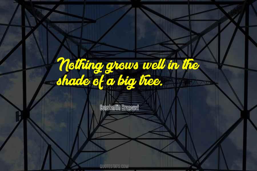 Shade Tree Sayings #1543063