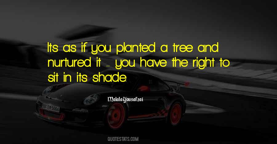 Shade Tree Sayings #585959