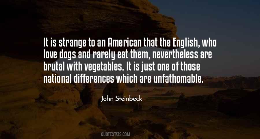 Strange American Sayings #1188999